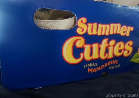 ポニーテールオンリーファンズ 美しい裸 画像