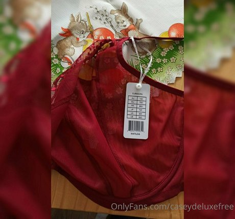 caseydeluxefree トップポルノスター ギャラリー