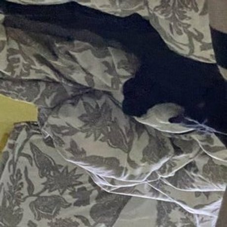 巨乳の黒人女性オンリーファンズ 無料 写真