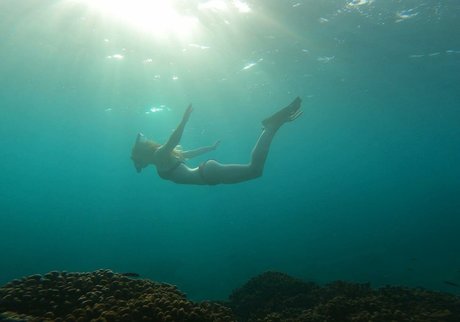 Lily Sheen ポルノスター トップ 写真