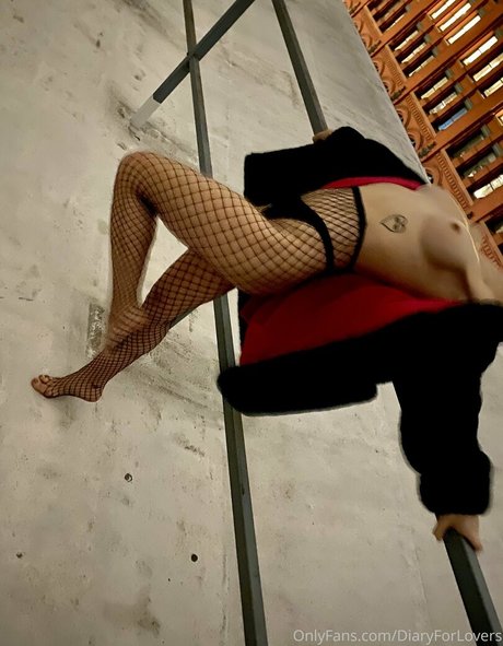 diaryforlovers セクシー女優 画像