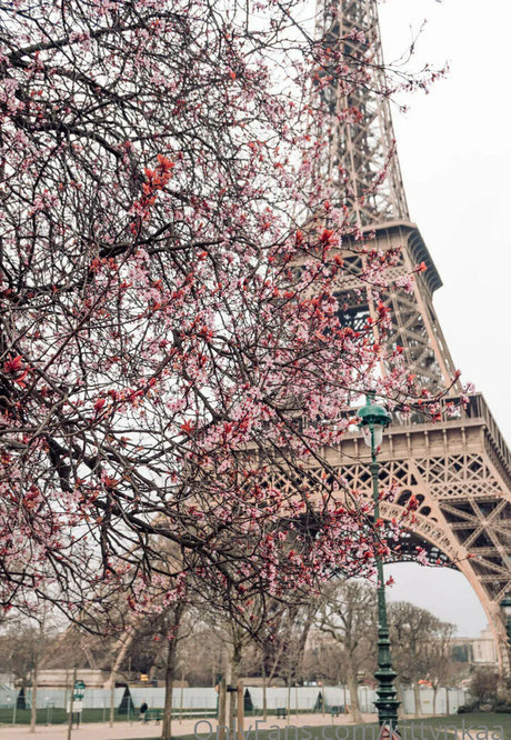 アジア人 ノーPPV オンリーファンズ 裸 ギャラリー