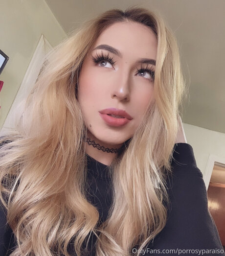 Bluntsandparadise 高品質女優 ギャラリー