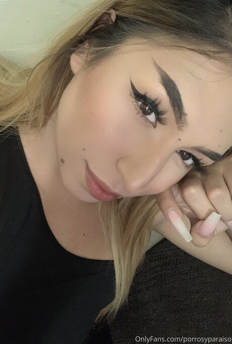 Bluntsandparadise トップスター ギャラリー