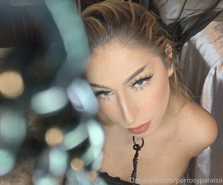 Bluntsandparadise ポルノスター xxx 写真