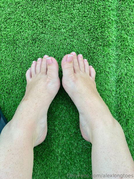 お尻オンリーファン 限定 画像