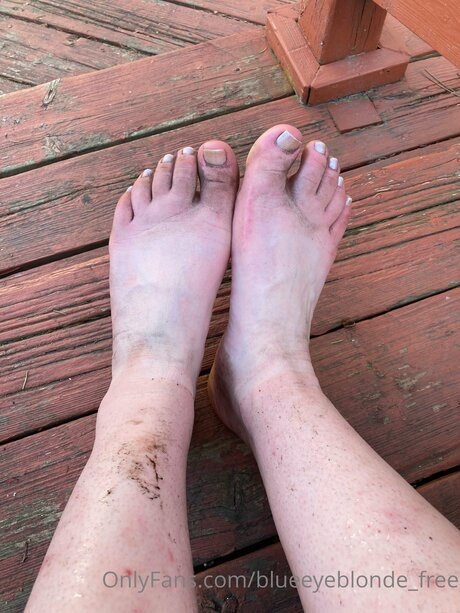 Blueeyeblonde Free 完璧な女優 画像