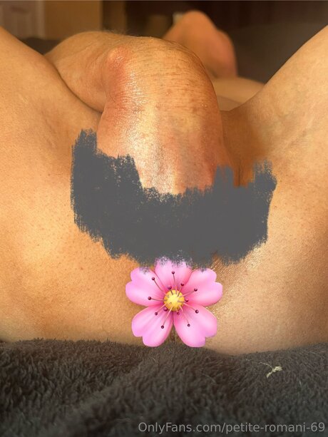 Petite Romani 69 最高のスター 写真