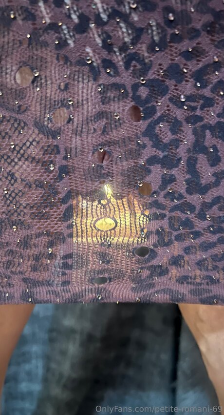 Petite Romani 69 トップスター 画像