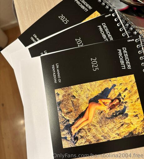 Debbie 2004 完璧なモデル ギャラリー