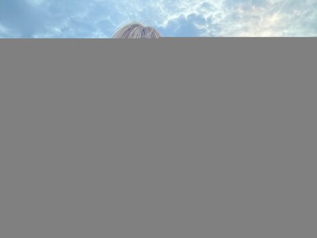 Ashley Milk セクシーなスター 写真