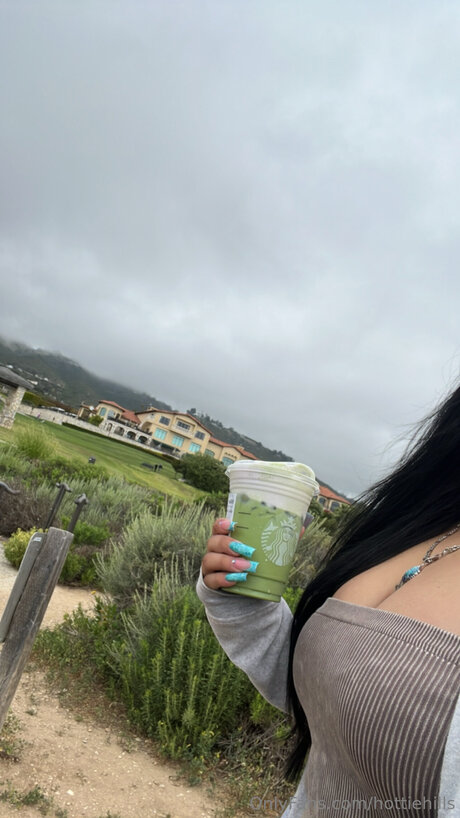 Hottiehills ホットなスター 画像