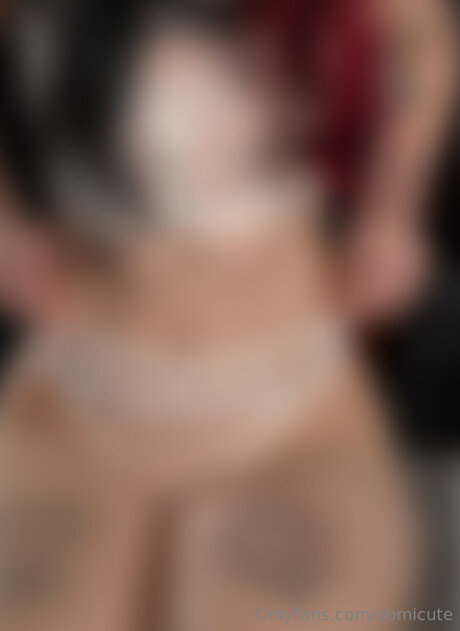 Domicute アートポルノスター 写真