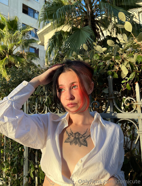 Domicute ホット女優 写真