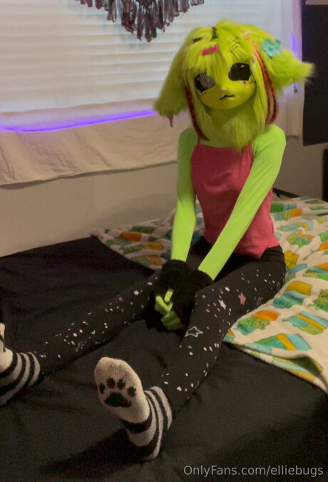 Elliebugs セクシーなスター 画像