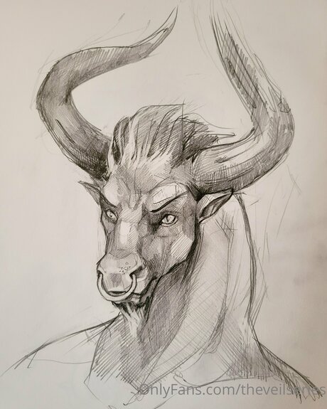 Theveilseries ポルノ女優 写真