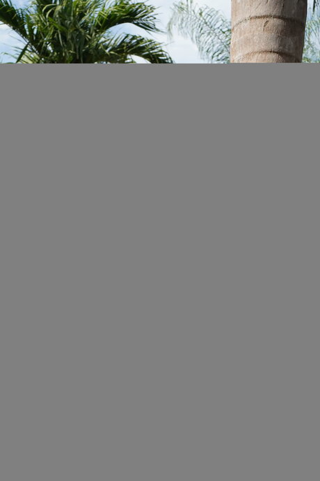 Hail Fitgirl 女優 画像