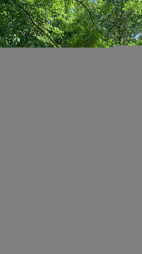 Bootybabyvixen ポルノスター ヌード 写真