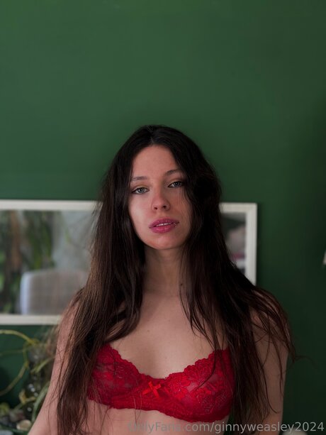 Dominga2024 最高のモデル 画像