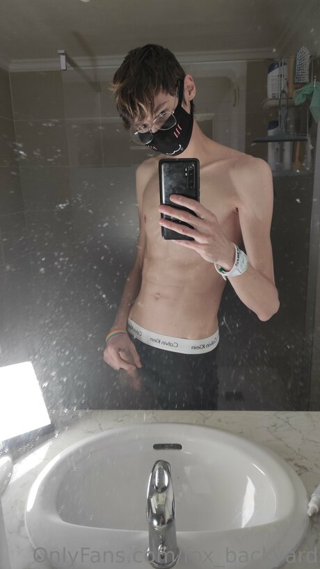 Fox Backyard アートスター 画像