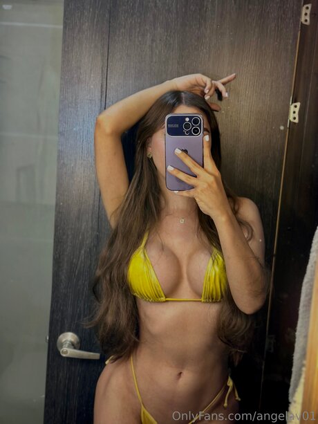 Angelav01 アートスター 写真