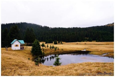 Mickey93 ホットなスター アーカイブ