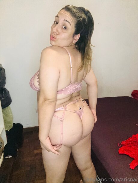 Arisnai セクシー女優 画像