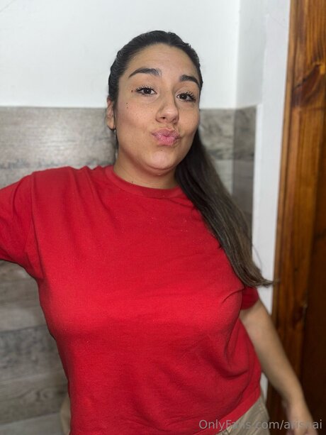 Arisnai HDモデル ギャラリー