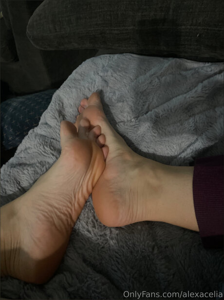 ジンジャートゥインクオンリーファンズ 無料裸 写真