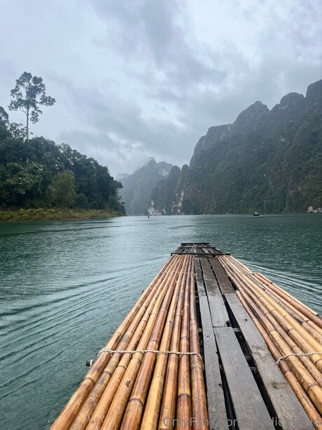 Nordicguy94 アートスター 写真