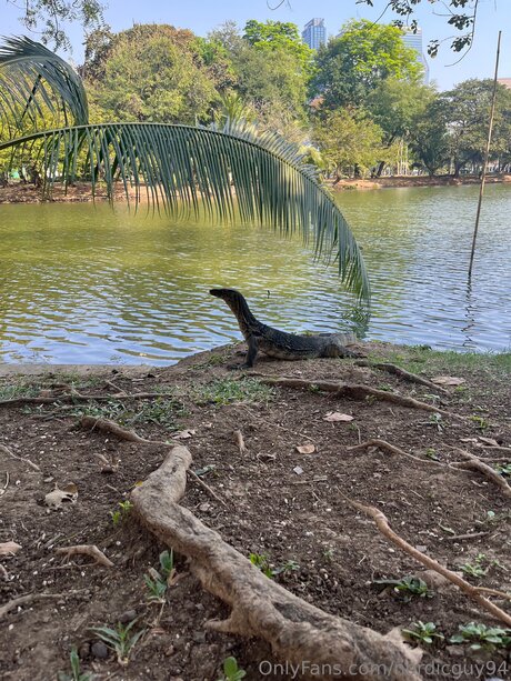 Nordicguy94 スター xxx ギャラリー