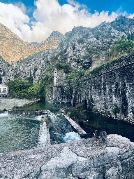 Nordicguy94 セクシーモデル 画像