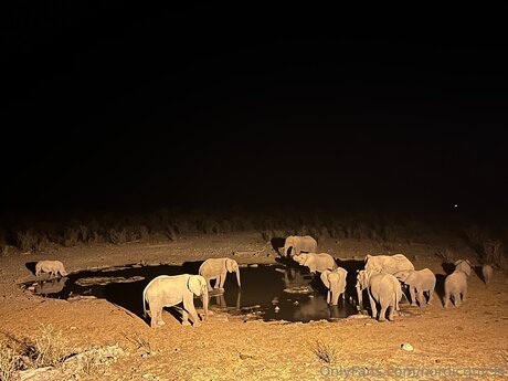 Nordicguy94 ポルノスター 画像