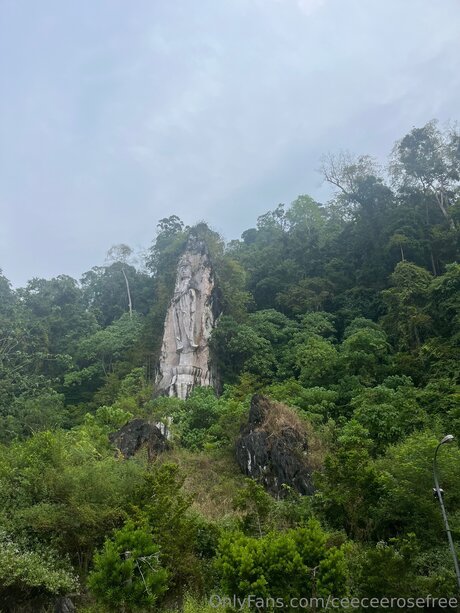 Ceeceerosefree ヌードスター 写真