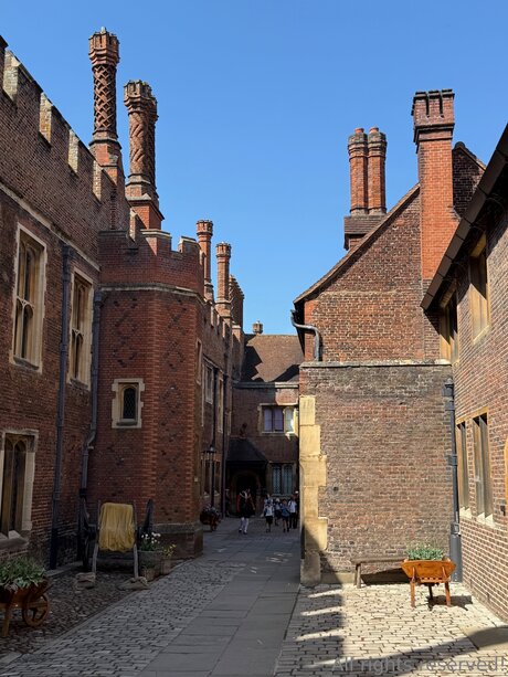 BBWシーメールオンリーファンズ ホット裸 写真