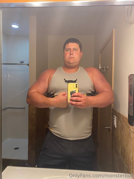 Thebulkinghog トップスター 画像