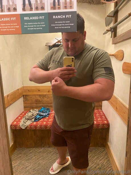 Thebulkinghog 無料スター ギャラリー