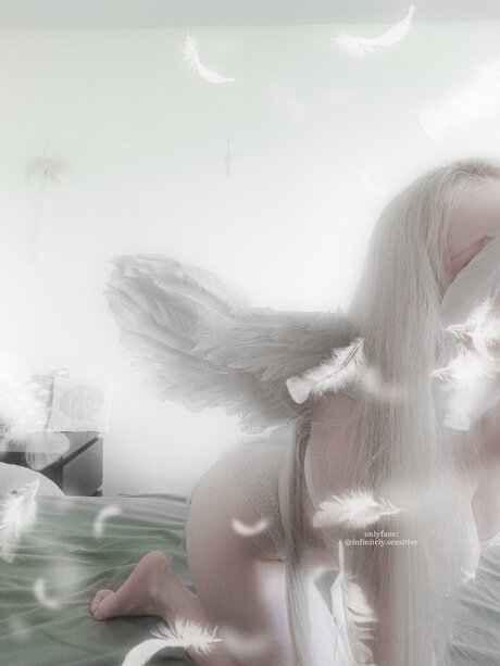 Infinitely Sensitive トップスター 写真