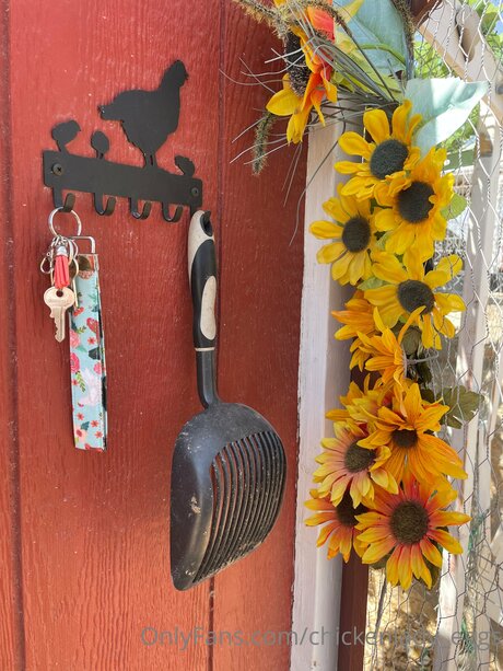 Chickenlady Eggs スター 裸 写真