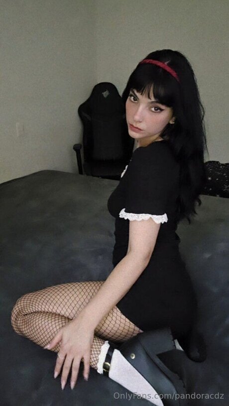 ピナイオンリーファンズ えろた 画像