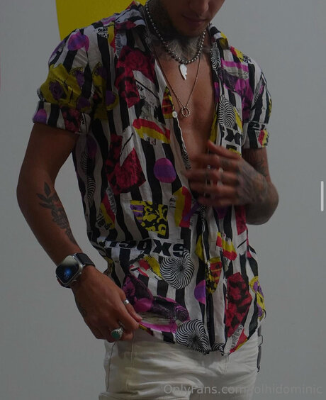 Ftmonlytrans エロティックなスター ギャラリー