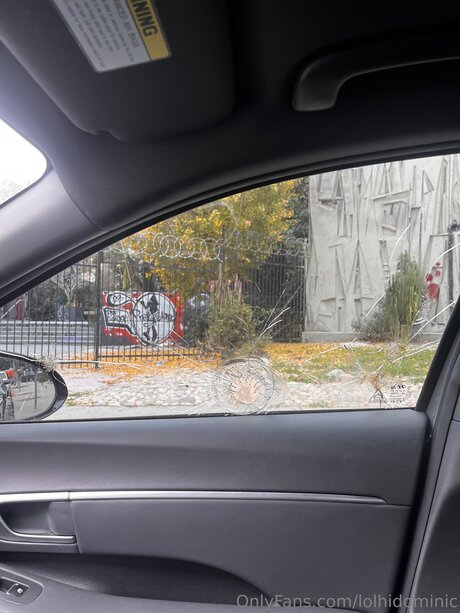 Ftmonlytrans 限定モデル 写真