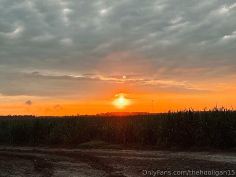 ジンジャートゥインクオンリーファンズ ホットポルノ 写真