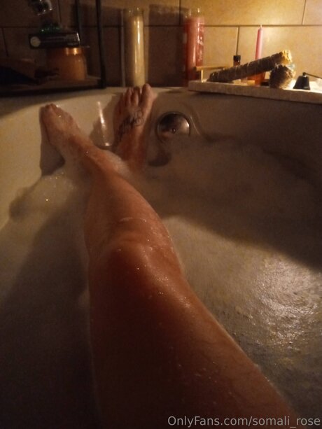 Somali Rose 無料スター 写真