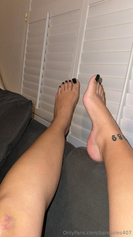 Baresoles407 素敵なスター 写真