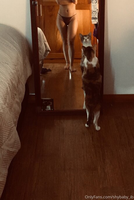 ヘンタイオンリーファンズ トップ 写真