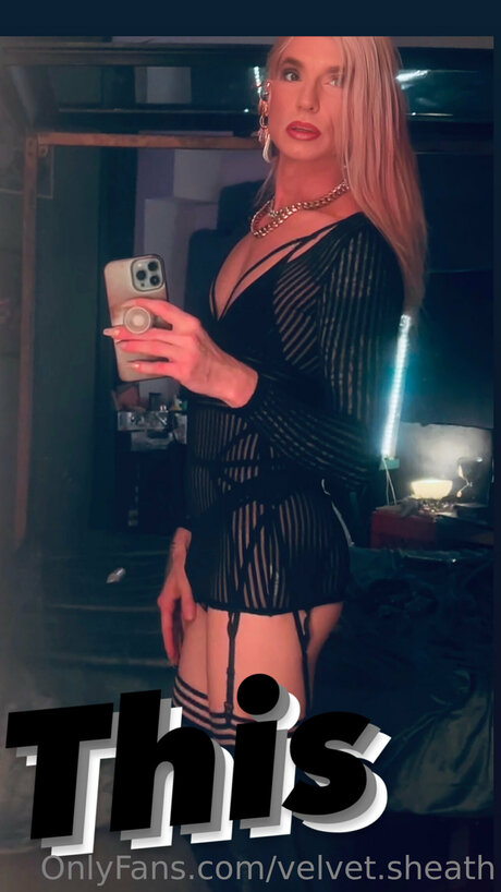 Velvet Sheath ポルノスター 写真