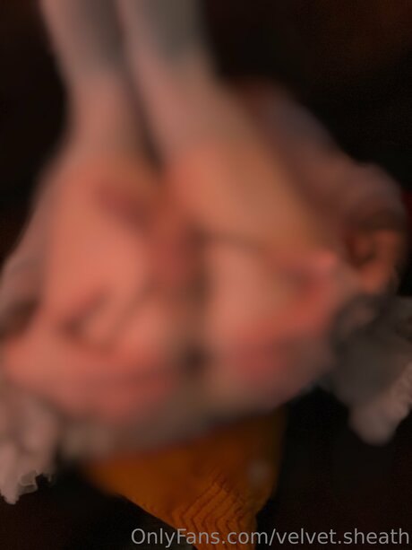 Velvet Sheath ポルノモデル 画像