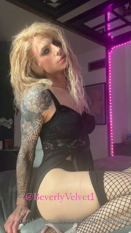 Velvet Sheath セックス女優 写真