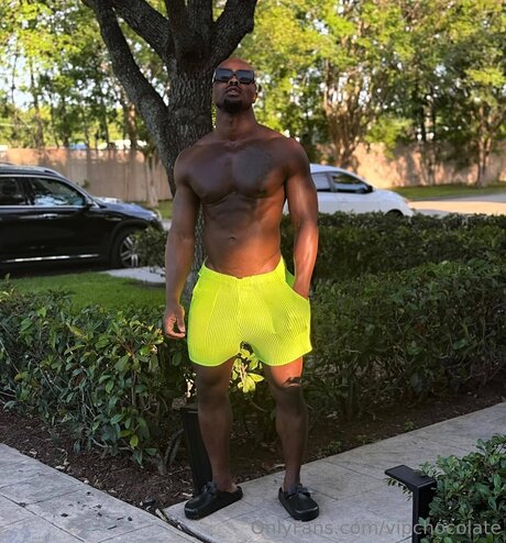 Vipchocolate ポルノスター 高品質 画像